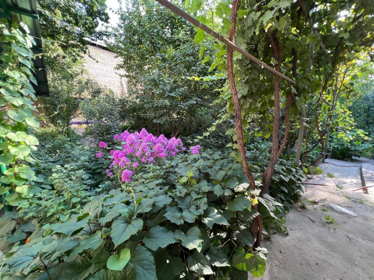 Lovely Home Osch Exterior foto